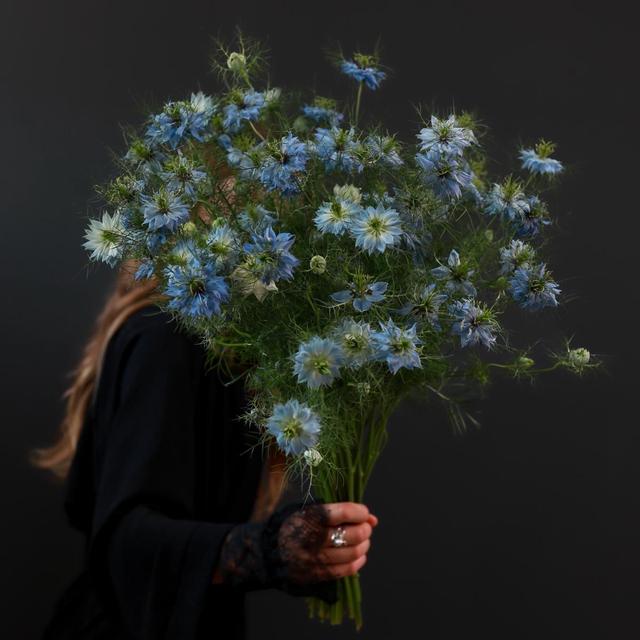 Нигелла