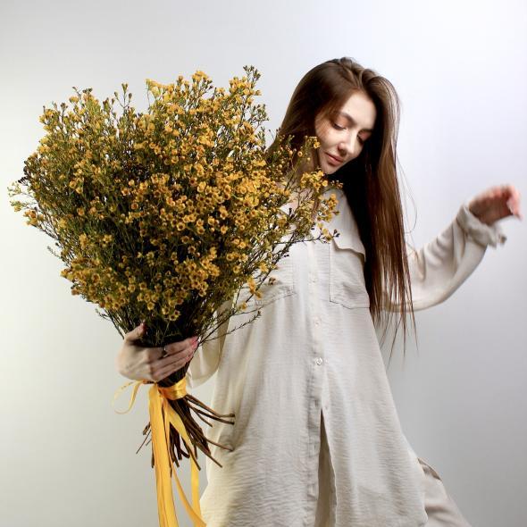 Шамелациум (желтый)