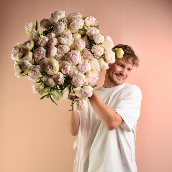 Пион розовый (цена за 1 шт)