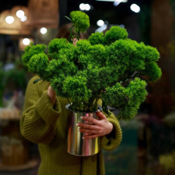 Гвоздика GREEN TRICK