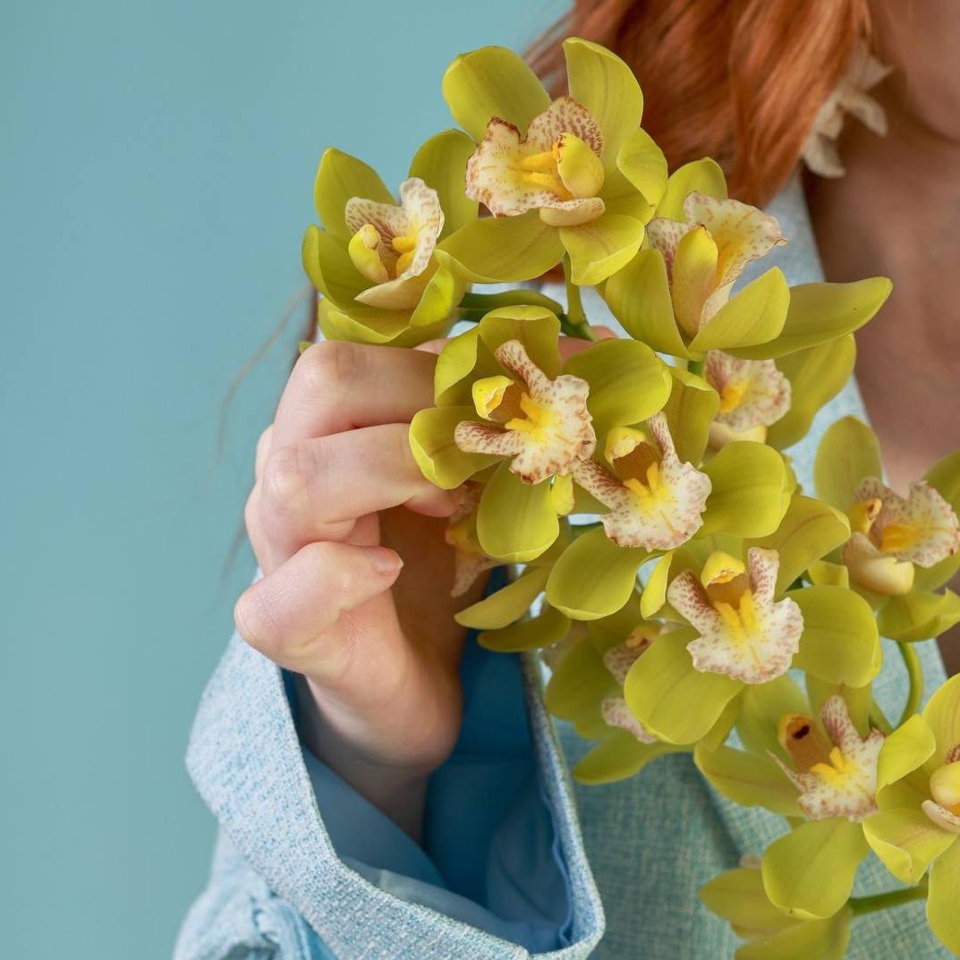 Орхидея Цимбидиум ветка