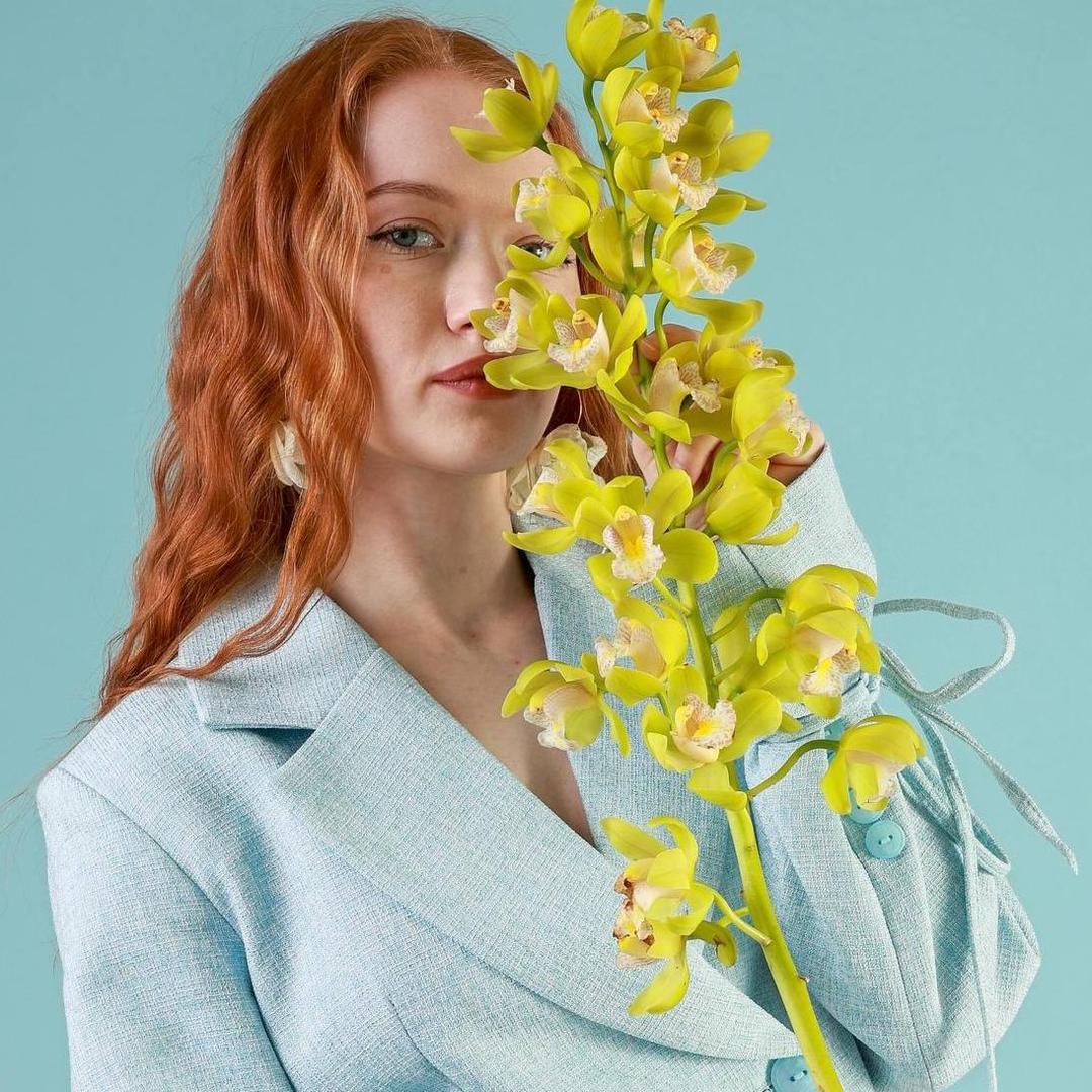 Орхидея Цимбидиум ветка