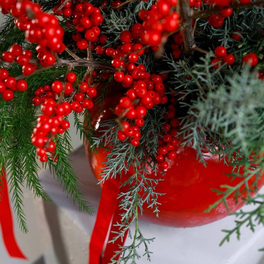 Композиция Клюквенный морс