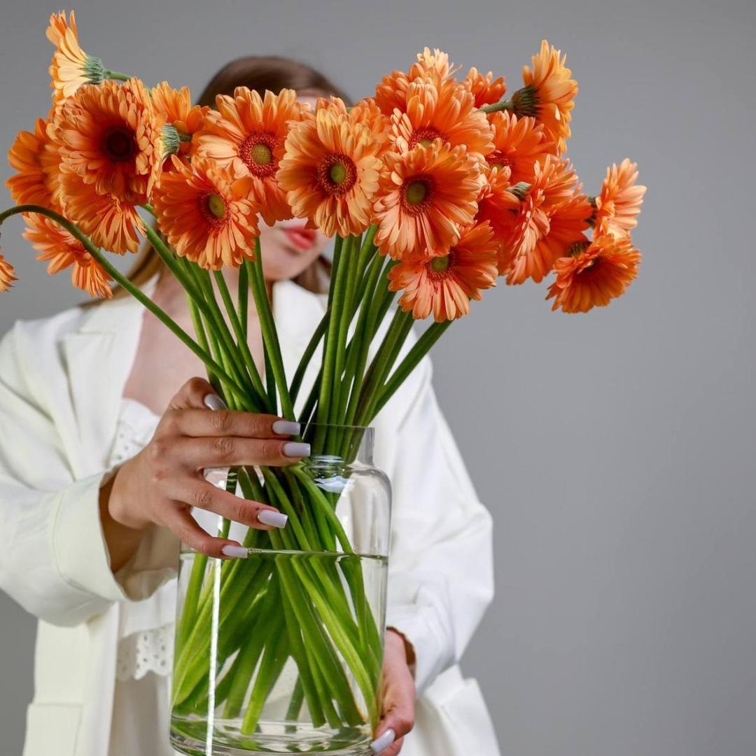 Гербера мини Orange