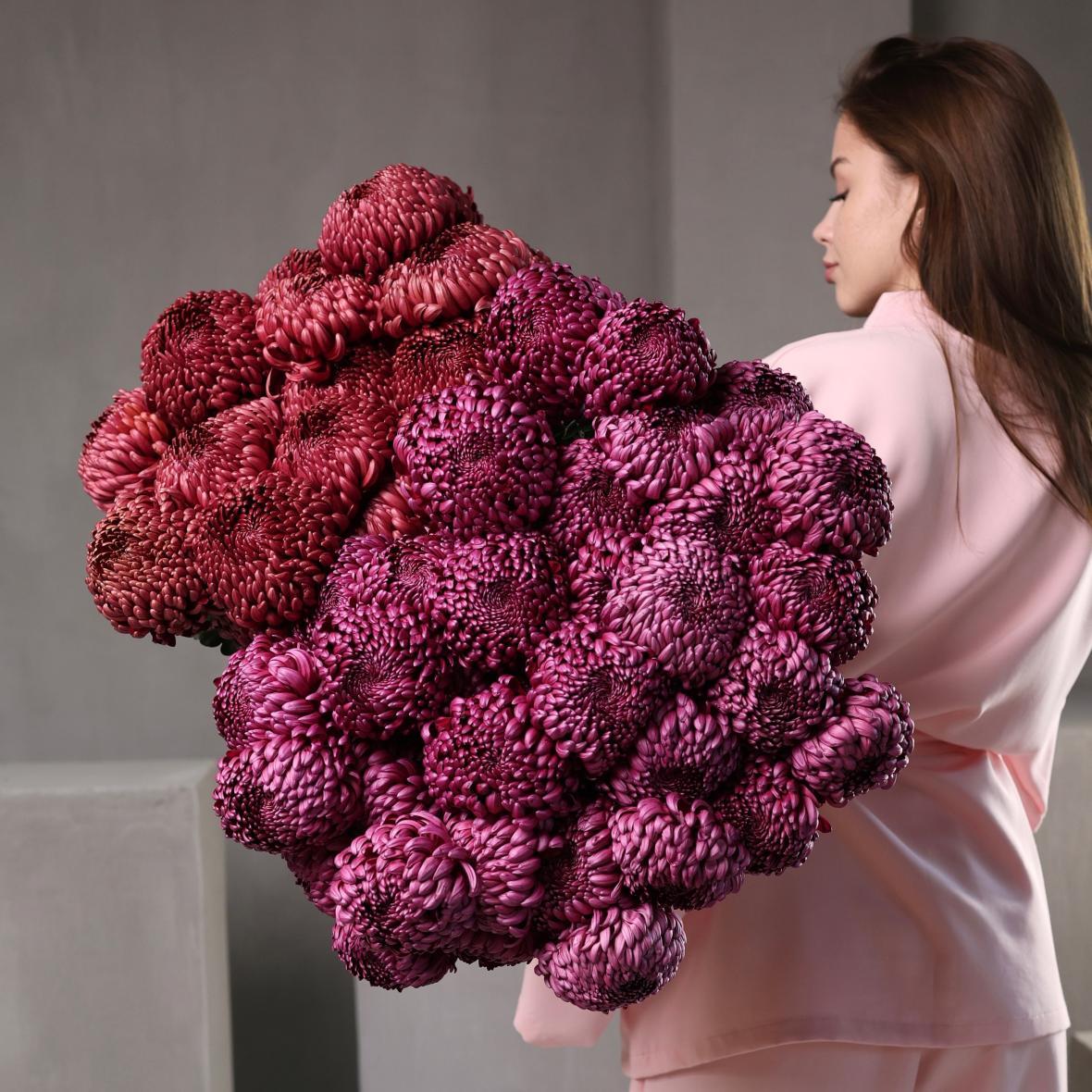 Хризантема Бигуди