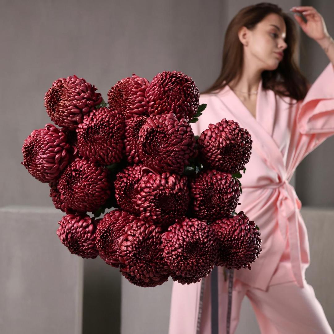 Хризантема Бигуди