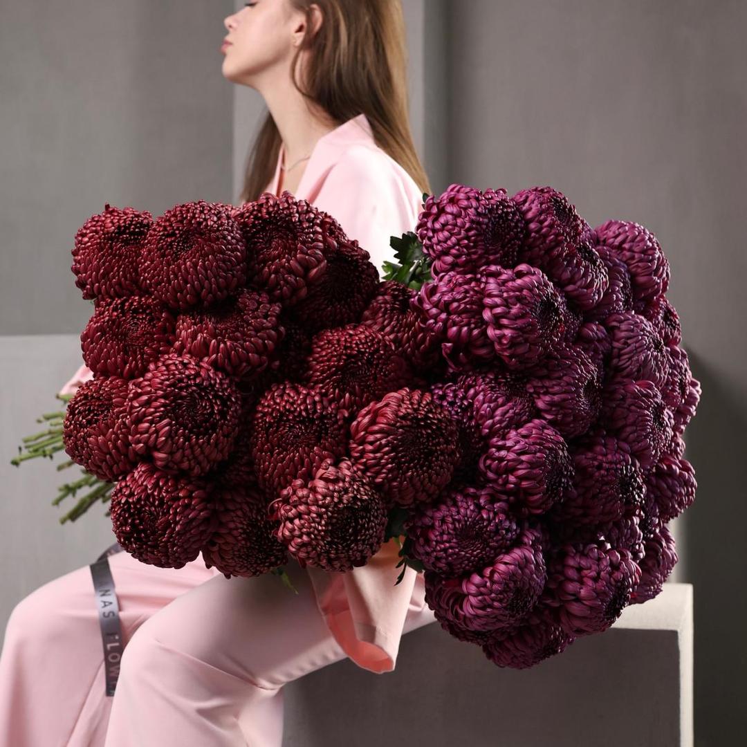 Хризантема Бигуди