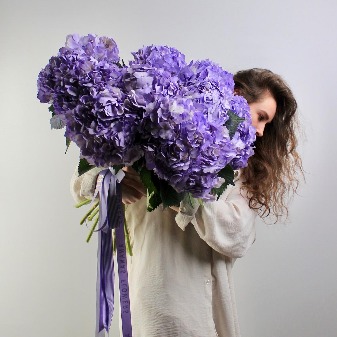 Гортензия Milka