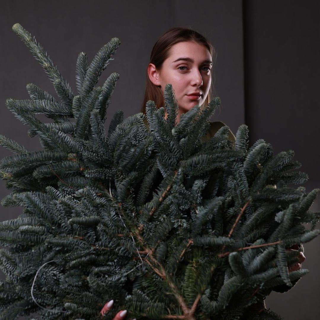 Нобилис (стоимость указана за банч)