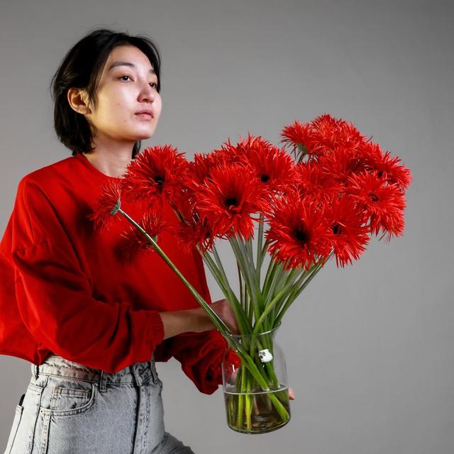 Гербера сортовая RED Гербера сортовая RED