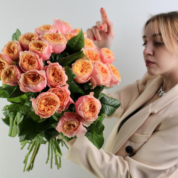 Роза Vuvuzela Роза Vuvuzela