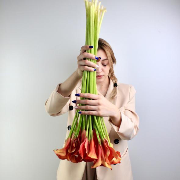 Калла ярко-рыжая