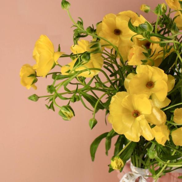 Ранункулюс Баттерфляй