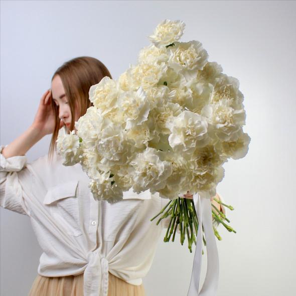 Гвоздика белая (диантус) Гвоздика белая (диантус)