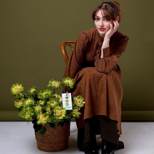 Роза сортовая VEGGIE