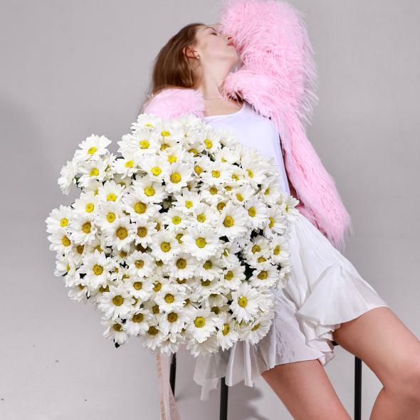 Хризантема кустовая (белая) Хризантема кустовая (белая)