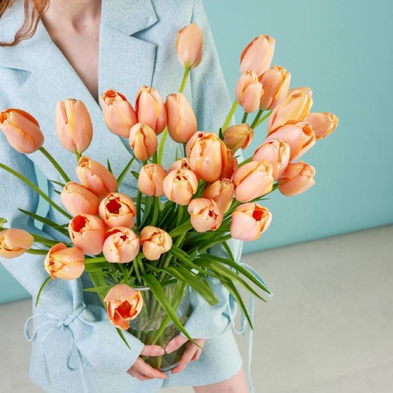 Тюльпан Голландия 60 см