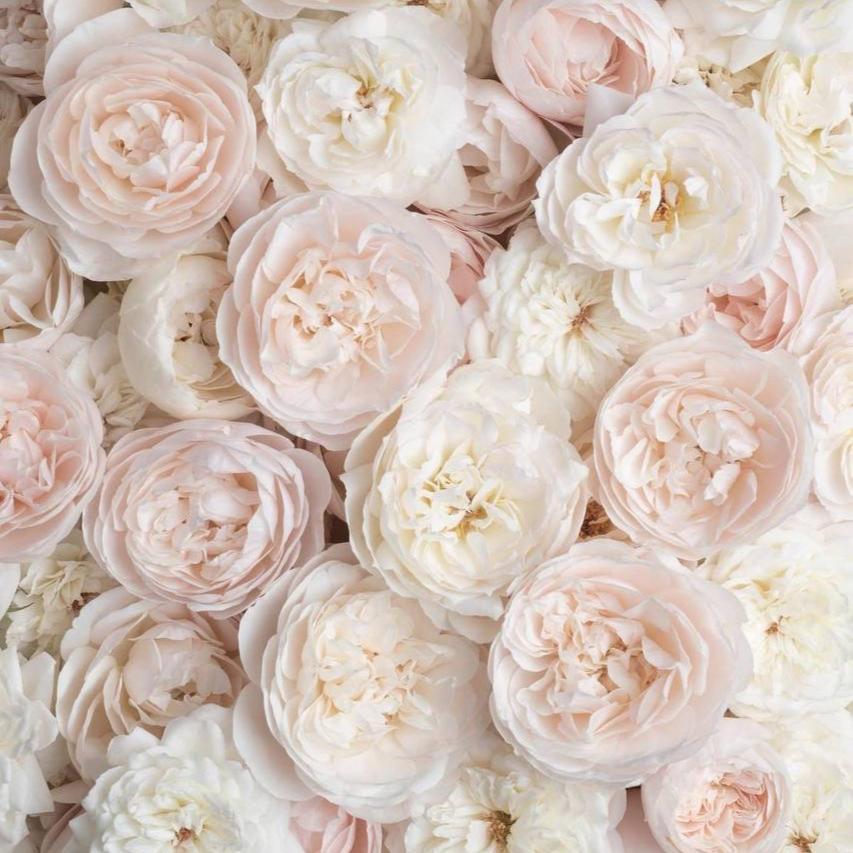 Цветочный подарок на свадьбу Никиты и Ксении, 14 августа