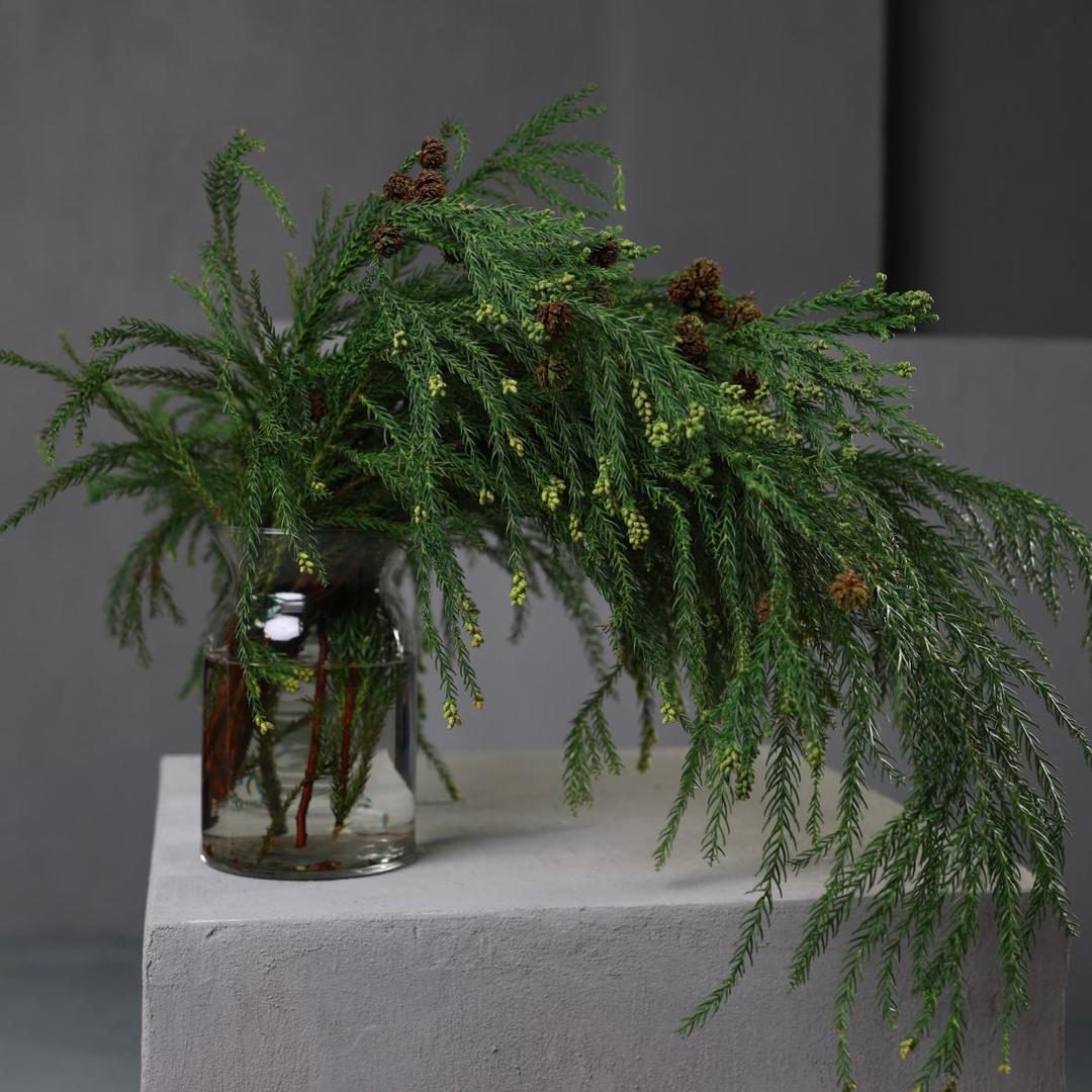 Мережка (стоимость указана за банч)