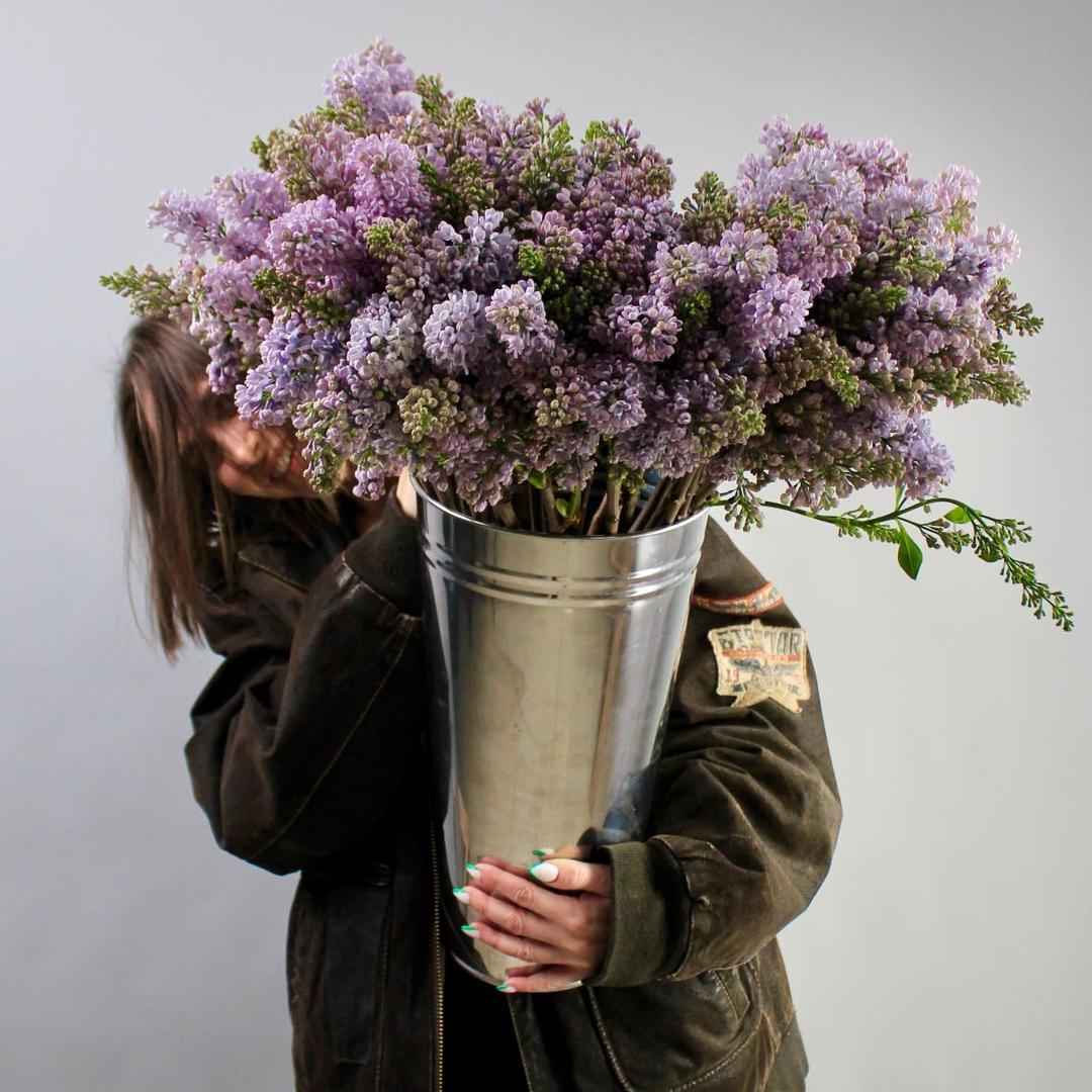 Сирень (цена за 1 шт)