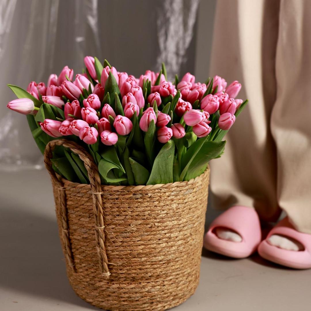 Тюльпан Россия нежно-розовый