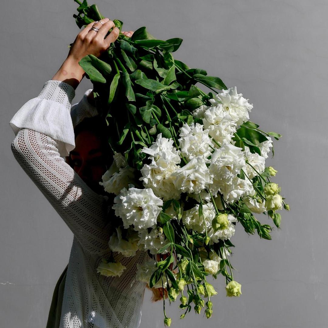 Эустома белая