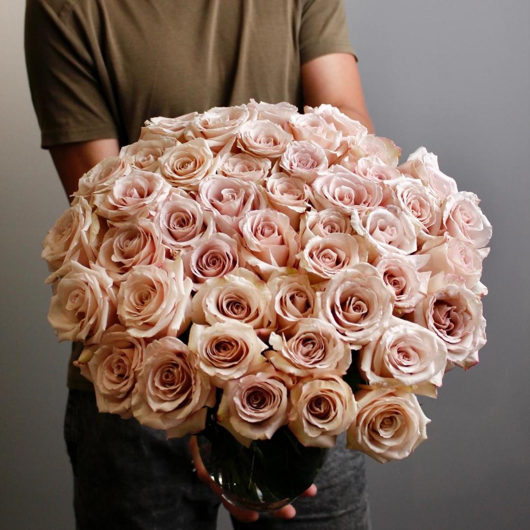 Роза сортовая Quicksand