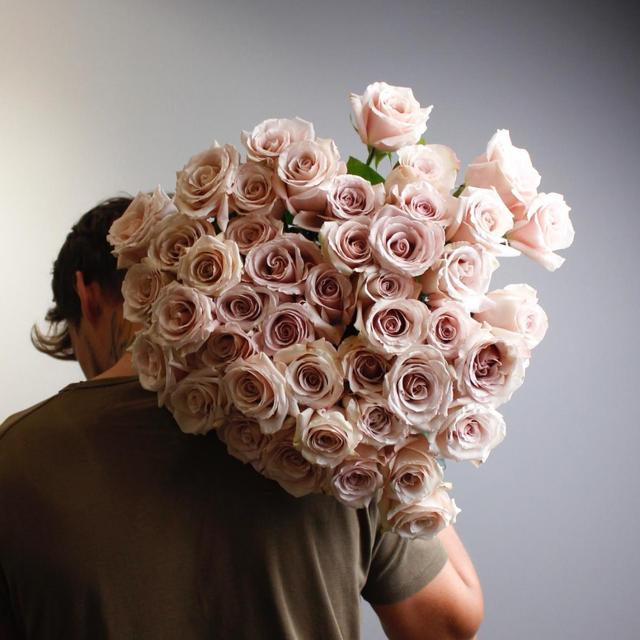 Роза сортовая Quicksand Роза сортовая Quicksand