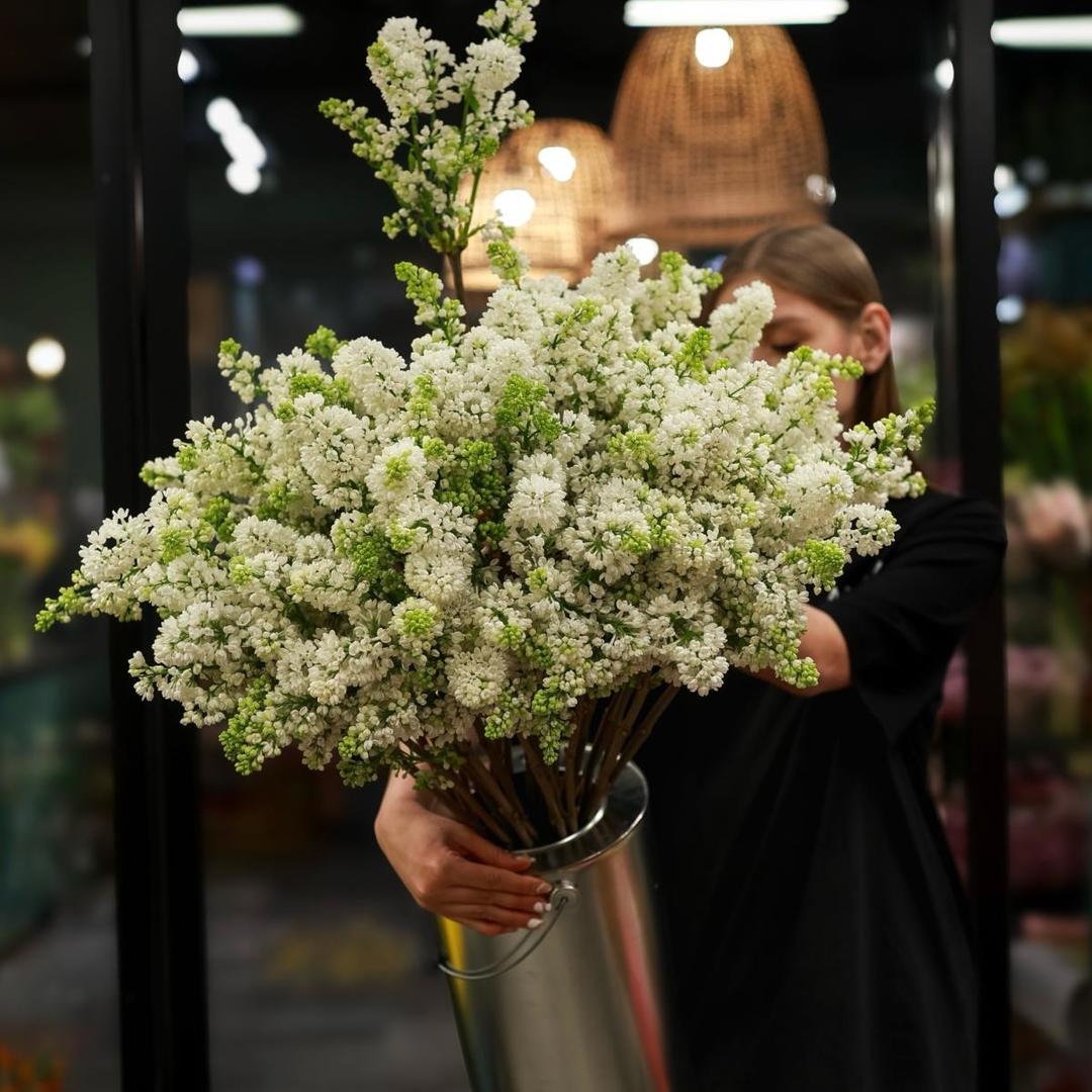 Сирень (цена за 1 шт)