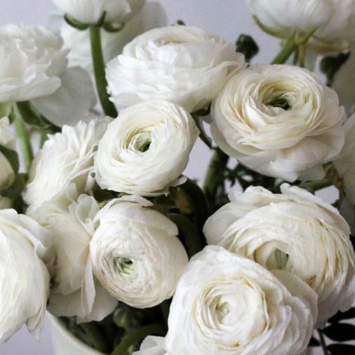 Цветочный подарок на свадьбу Матвея и Екатерины, 10 августа