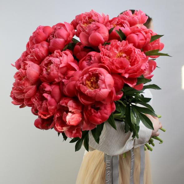 Пион Coral Сharm (цена за 1 шт)