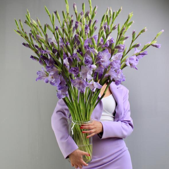 Гладиолус Milka Гладиолус Milka