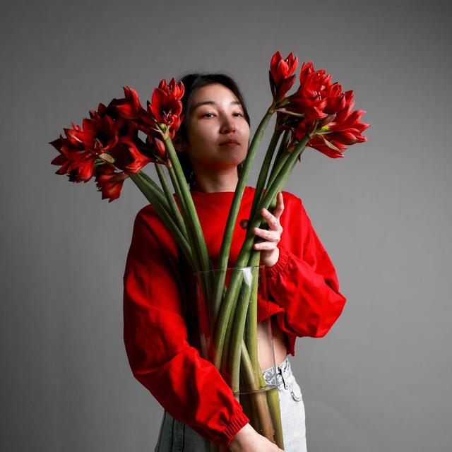 Амариллис RED Амариллис RED