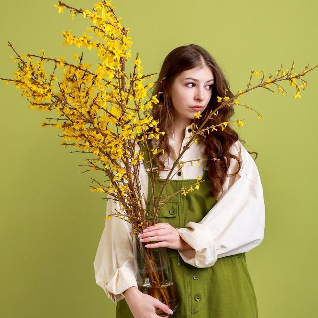 Форзиция Форзиция