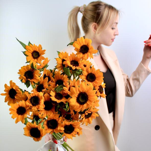 Подсолнух мини Подсолнух мини