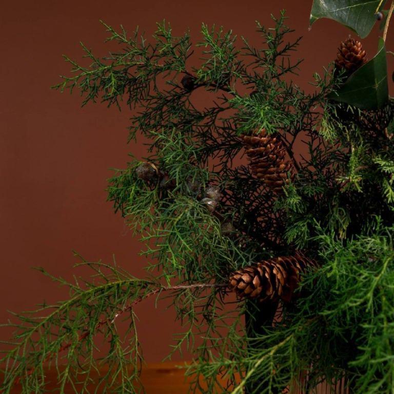 Композиция с хвоей в банке Трюфель