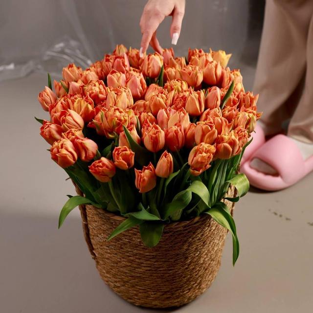 101 тюльпан в корзине 101 тюльпан в корзине