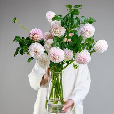 Цветы Цветы