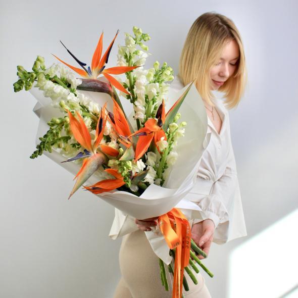 Аргентинское танго Аргентинское танго